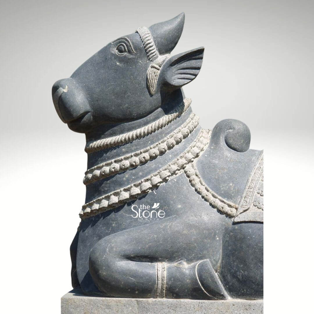 Nandi Statue in Black Designed Stone 2ft 6 A serene 2-foot Nandi statue carved from black stone is prominently featured in a close-up slightly angled view against a clean plain white background highlighting its intricate details as a home idol. The statue depicts Nandi the sacred bull reclining peacefully and facing towards the left with a gentle watchful gaze. Its eyes are softly rendered conveying devotion and calm. The black stone boasts a deep charcoal gray hue with subtle natural speckles and a smooth polished finish that beautifully catches the light emphasizing the sculptural contours. Nandi is richly adorned with elaborate finely carved decorations all seamlessly integrated into the stone. These adornments include multiple strands of intricately beaded necklaces gracefully draped around its strong neck and chest a decorative saddlecloth on its back with finely etched geometric and traditional patterns and a ceremonial band across its forehead and between its short powerful horns. The ears are also artfully detailed showing delicate pleats. A pronounced hump on its back is characteristic of the sacred bull. The statue rests on a robust simple square base also made of black stone providing a stable and dignified foundation. The overall impression of this Nandi black stone idol is one of profound tranquility strength and sacred devotion making it a powerful and beautiful addition to a home's puja room, altar, or a place of spiritual reverence embodying traditional Indian artistry and symbolism.