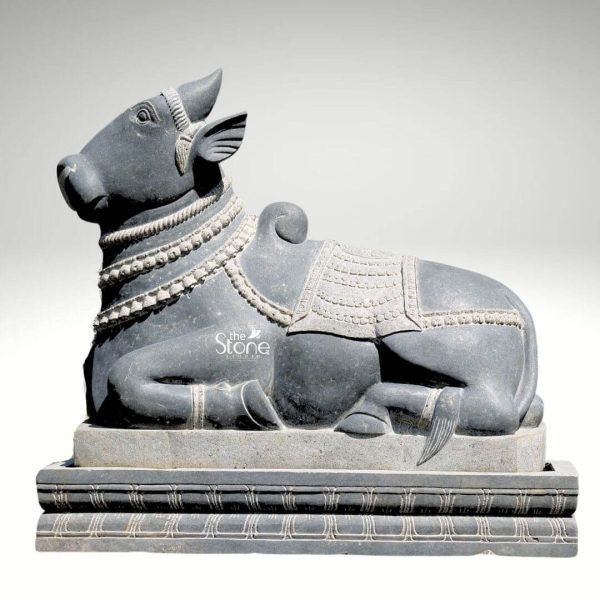 A beautifully carved 2-foot Nandi statue made from black designed stone is depicted sitting serenely on a tiered pedestal against a clean plain white background. The statue portrays Nandi the sacred bull and vahana of Lord Shiva in a traditional reclining posture facing towards the left with a calm and devoted expression. The black stone has a rich dark gray hue with subtle natural variations and a smooth polished finish that highlights the intricate details of the sculpture. Nandi is adorned with elaborate decorative elements meticulously carved into the stone. These include multiple strands of beaded necklaces draped around its neck and chest, a decorative saddlecloth on its back with finely etched patterns and a ceremonial headpiece between its horns. The ears are also intricately detailed suggesting delicate folds and adornments. A distinct hump is visible on its back characteristic of Indian cattle further emphasizing its sacred representation. The statue rests on a substantial multi-tiered black stone pedestal which features carved horizontal lines and traditional ornamental patterns along its edges providing a sturdy and dignified base. The overall impression is one of profound tranquility strength and devotion making this Nandi statue an ideal piece for a temple garden, or a sacred space in a home reflecting traditional Indian artistry and spiritual significance in its durable black stone form.