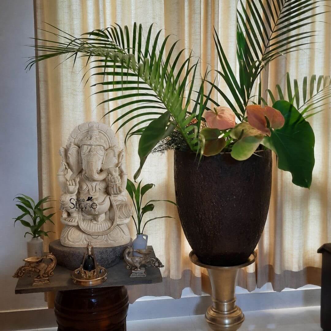 Ganesha Moorti in Sitting Position 1ft 3 A detailed medium shot captures a beautifully crafted twelve-inch-tall statue of Lord Ganesha hand-carved from a smooth light-colored soapstone making it a perfect home decor piece. The statue is seated in a traditional meditative pose on a circular lotus pedestal with its trunk curled to the left and holding a sweet. The elephant-headed deity is adorned with intricate shallow-relief carvings of elaborate jewelry a towering tiered crown and a flowing sacred thread showcasing the artisanal skill and the fine matte texture characteristic of soapstone. The statue is positioned on a raised wooden side table serving as the spiritual focal point of the arrangement. To the right of the Ganesha statue a large, dark textured planter in an egg shape sits prominently on a tall gleaming gold pedestal stand. This planter is filled with a lush arrangement of tropical foliage featuring the feathery fronds of a parlor palm and the broad deep-green leaves of a monstera plant along with a few subtle pink anthurium flowers. This vibrant greenery creates a striking natural contrast to the light-toned soapstone and adds a dynamic organic element to the home decor scene. The setting is a cozy indoor space with soft ambient light filtering through a pair of light-beige floor-length curtains in the background providing a warm neutral backdrop. On the wooden table surface in front of the Ganesha statue are several small traditional brass items that enhance the sacred atmosphere including two small oil lamps and a small ornate bowl. Two smaller lucky bamboo plants in simple vases flank the main statue adding balance and a touch of life to the altar. The entire composition demonstrates a harmonious blend of traditional spirituality and contemporary interior design.