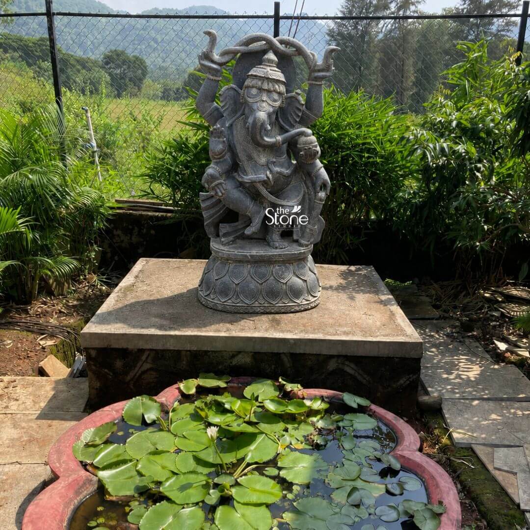 Dancing Ganapati Murti With Snakes 4' 3 A medium shot captures a magnificent four-foot-tall hand-carved statue of Lord Ganesha sculpted from solid dark black stone. The statue depicts Ganesha in a dynamic dancing posture known as Nritya Ganesha standing gracefully upon an intricately carved circular lotus pedestal. The deity is captured mid-movement with his left leg raised in a playful arch and his trunk curled conveying a sense of rhythm and joy. The detailed carving showcases Ganesha with four arms adorned with elaborate traditional ornaments including a towering tiered crown multiple necklaces armlets and a sacred thread all meticulously defined against the dark stone texture. The statue is installed outdoors in a serene natural garden setting. It is mounted centrally on a raised concrete plinth which provides a stable base. In the immediate foreground positioned just below and in front of the plinth is a decorative reddish-brown lotus-shaped stone water feature or urli. This urli is filled with water and covered in a dense mat of green lily pads with a single delicate white water lily in bloom adding a soft organic element that complements the hard stone sculpture. The background provides a lush and tranquil backdrop for this sacred art piece. Directly behind the plinth is a dense wall of various green foliage including tall grasses and other garden plants creating a natural screen. Beyond this foliage a wire mesh fence is visible and further in the distance a range of tree-covered hills rises under a bright natural daylight sky. The composition balances the static presence of the Ganesha statue with the dynamic forms of the dancing deity and the surrounding living plants making it a beautiful focal point in the garden. Natural sunlight casts distinct shadows on the concrete plinth adding depth to the scene.