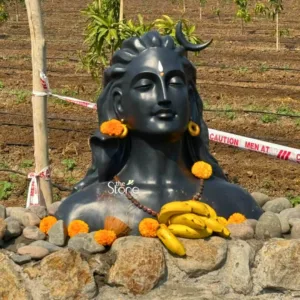 striking and detailed close-up shot of a large black stone bust depicting Lord Shiva, sculpted with exceptional craftsmanship. Shiva is portrayed in a serene, meditative state, with his eyes gently closed and a peaceful, contemplative expression. His intricately carved matted hair (jata) is visible, adorned with a prominent white crescent moon on the right side of his head and a distinct white tilak (third eye mark) on his forehead. He wears golden hoop earrings (kundalas) and a mala (necklace) of dark, possibly rudraksha-like beads. Vibrant orange marigold flowers are gracefully tucked near his ears and rest on his chest, adding splashes of color to the dark stone. The statue is set within a natural-looking base, constructed from irregularly shaped, rustic grey and brown river stones or boulders. On this stone base, traditional offerings are carefully arranged: several clusters of bright orange marigold blossoms, a fresh bunch of ripe yellow bananas, and a piece of coconut shell. In the background, an agricultural field or orchard stretches out, featuring neat rows of young green saplings, possibly mango trees, planted in rich, dark brown soil. Black drip irrigation lines are visible, indicating modern farming practices. A white and red "CAUTION MEN AT WORK" tape runs horizontally across the mid-ground, tied to a slender wooden pole on the left, suggesting ongoing activity or a designated area. A subtle "the Stone Studio" watermark is present in the lower center. This image powerfully conveys a sense of spiritual devotion, exquisite stone artistry, and the integration of sacred symbols within a natural, cultivated landscape, likely highlighting the creation or installation of this magnificent statue.