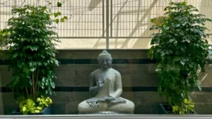 Black Stone Buddha Statue 3ft placement