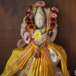 Marble Laxmi Placement in Costa Rica