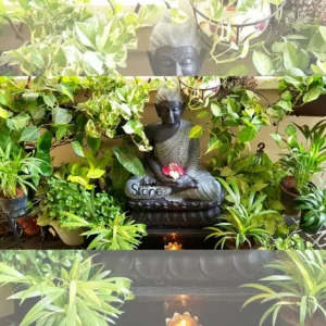 small sitting buddha placement in Tamil Nadu