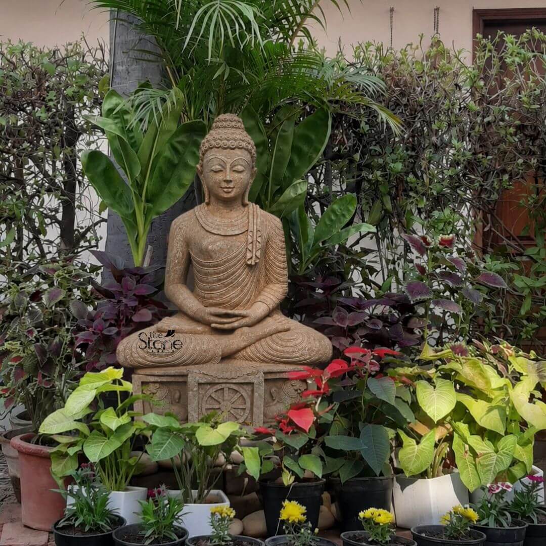 A full-length photograph captures a four-foot-tall seated Buddha statue hand-carved from a single block of textured beige sandstone. The statue depicts the Buddha in a traditional meditative pose with legs crossed in the full lotus position and hands resting in the lap with palms facing upwards in the Dhyana mudra symbolizing deep meditation and spiritual insight. The Buddha has a serene contemplative expression with eyes half-closed a gentle smile the traditional tightly curled ushnisha and elongated earlobes. The sandstone surface exhibits a natural slightly weathered patina and visible granular texture emphasizing its organic hand-carved quality. The statue is elevated positioned prominently upon a carved stone pedestal base that features detailed reliefs including a central Dharma wheel motif and other decorative patterns. This pedestal is nestled within a lush vibrant garden bed making the four-foot idol the focal point of the outdoor space. The Buddha is surrounded by a diverse array of plant life including large-leafed tropical plants tall shrubs smaller flowering plants in various pots and colorful foliage like purple-leaved Coleus and red Poinsettia. The natural stone of the statue contrasts beautifully with the rich greens and reds of the surrounding vegetation. This four-foot stone Buddha statue is an ideal centerpiece for any garden creating a tranquil and spiritual sanctuary. The choice of durable natural sandstone ensures the idol's longevity and ability to weather the elements developing a more profound aged character over time. Its substantial size makes it a commanding yet peaceful presence perfect for outdoor meditation or simply as an aesthetic anchor in a landscape design. The detailed carving and serene posture reflect master craftsmanship capturing the essence of Buddhist art and bringing a sense of calm and reverence to this outdoor setting. The image showcases how such a piece harmoniously integrates with nature.