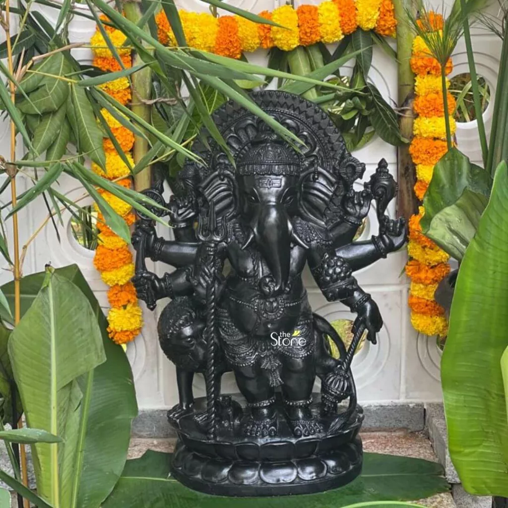 Drishti Ganesha for Entrance 14 magnificent, intricately carved black stone idol of Lord Ganesha stands as the central focus, emanating a sense of serenity and grandeur. The deity is depicted in a standing posture, featuring his iconic elephant head with a trunk gracefully curled to the left, traditionally holding or symbolizing a sweet modak. He is adorned with an elaborate kirita-mukuta (crown) and rich, detailed jewelry, including multiple necklaces, armlets, anklets, and a sacred thread (yagnopavitam) across his chest. Ganesha is depicted with multiple arms, characteristic of his divine forms; here, approximately eight arms (Ashtabhuja Ganesha) extend outwards, each holding significant symbolic attributes such as a noose (pasha), a goad (ankusha), an axe (parashu), a lotus, a broken tusk (eka danta), and a modak. A small Mushika (mouse), Ganesha's traditional vahana or mount, is visible at his feet, adding to the classic iconography. The entire idol rests upon a finely sculpted, multi-tiered lotus pedestal (padmasana base), highlighting the meticulous craftsmanship of the stone sculpture, possibly made of black granite or a similar dark material. Framing the dark, captivating statue is a vibrant and natural setting, typical of traditional Indian decorations for festivals and auspicious occasions. Lush green banana leaves and slender bamboo stalks, with their delicate foliage, create a dynamic, organic backdrop, suggesting an outdoor or garden space for worship or display. Behind the idol, a light-colored, possibly white or off-white wall, features subtle decorative patterns, adding depth and texture to the background. Against this wall, bright garlands made of cheerful orange and yellow marigold flowers (genda phool) are draped decoratively, forming a vibrant arch and vertical accents that frame the Ganesha idol and enhance the festive, spiritual atmosphere. The overall scene powerfully conveys devotion, cultural richness, and traditional Indian artistry, making it highly relevant for articles discussing Hindu festivals like Ganesh Chaturthi, spiritual home decor, the symbolism of deities, or the exquisite craftsmanship of stone sculptures and idols. The visual elements collectively emphasize the sacredness and celebratory nature of the subject.