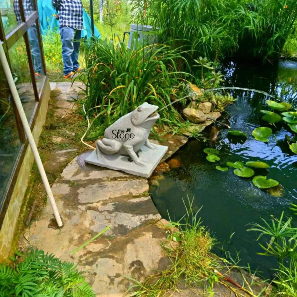 Marble vs Stone Statues 24 frog fountain placement in Uttrakhand