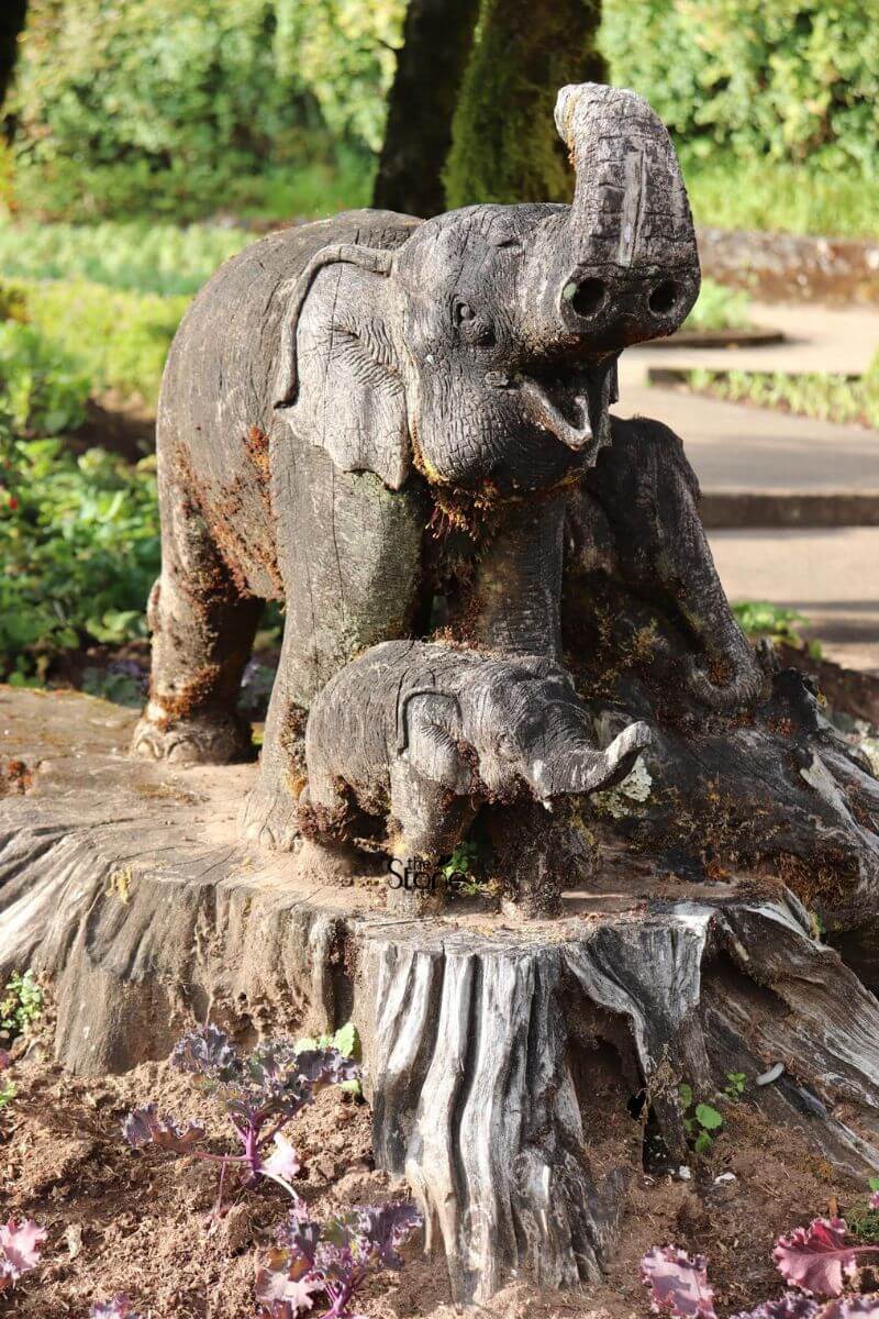 Elephant Statues for Home Bringing Luck The Stone Studio