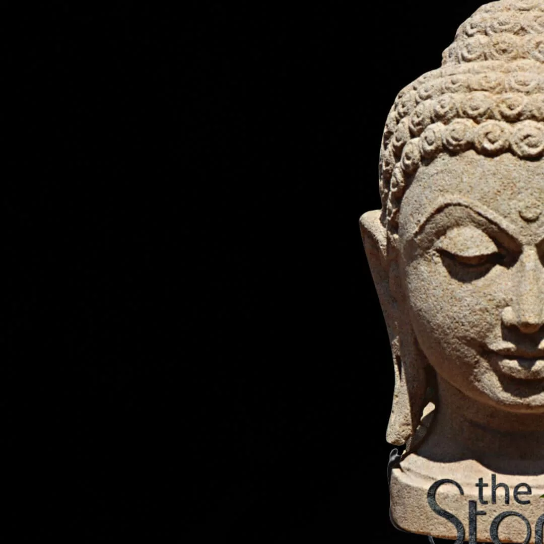 Stone Buddha Statues Buy Best Creations The Stone Studio