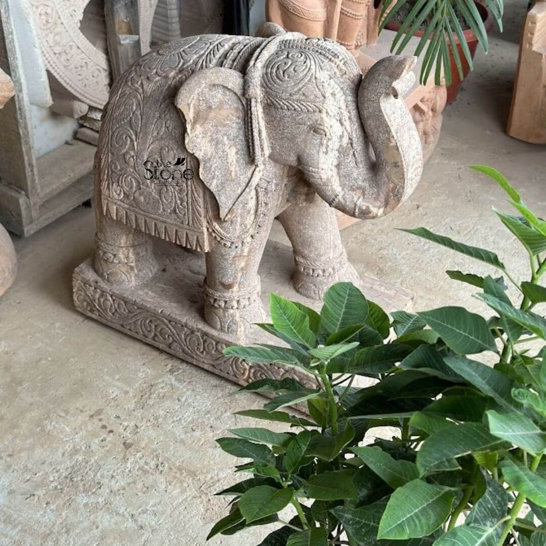 Antique Elephant Statue 30" 3 A charming 30-inch antique-look Sandstone Elephant statue serving as an ideal Elephant Statue for Garden Decor is prominently displayed on a light-colored paved surface possibly in an outdoor studio or garden area. The statue carved from light beige sandstone with a weathered finish depicts a majestic elephant standing with its trunk raised upwards a traditional symbol of good luck and welcome. The sandstone's natural texture and subtle variations in color give the sculpture an aged authentic, and antique appearance perfectly suited for garden integration. The elephant is richly adorned with intricate carvings that mimic traditional Indian elephant regalia. Detailed patterns cover its head ears and a decorative blanket or saddlecloth draped over its back and sides. These carvings include floral motifs geometric designs and ceremonial embellishments all meticulously rendered in the sandstone. Its large ears strong legs and the graceful curve of its raised trunk are all sculpted with remarkable realism and artistry showcasing the skilled craftsmanship. The weathered surface of the sandstone enhances its antique look suggesting years of enduring beauty. The statue rests on a sturdy rectangular base also carved with intricate patterns providing a stable and dignified foundation. In the foreground a leafy green plant adds a touch of natural beauty and frames the lower part of the image while hints of other stone carvings and garden elements are visible in the background suggesting a sculptural workshop or a richly decorated outdoor space. This 30-inch antique-look Sandstone Elephant statue is an exquisite example of garden art designed to bring blessings majestic presence and aesthetic beauty to any outdoor space perfectly aligning with an article focusing on such charming and symbolic Elephant Statues for garden decor.