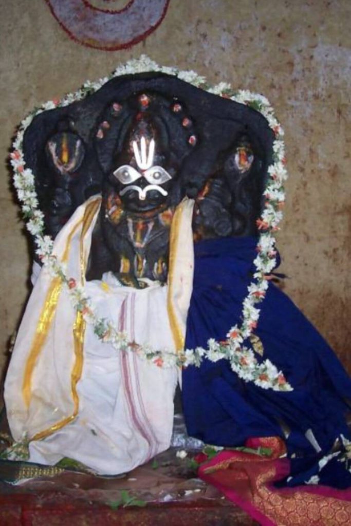 Pavana Narasimha