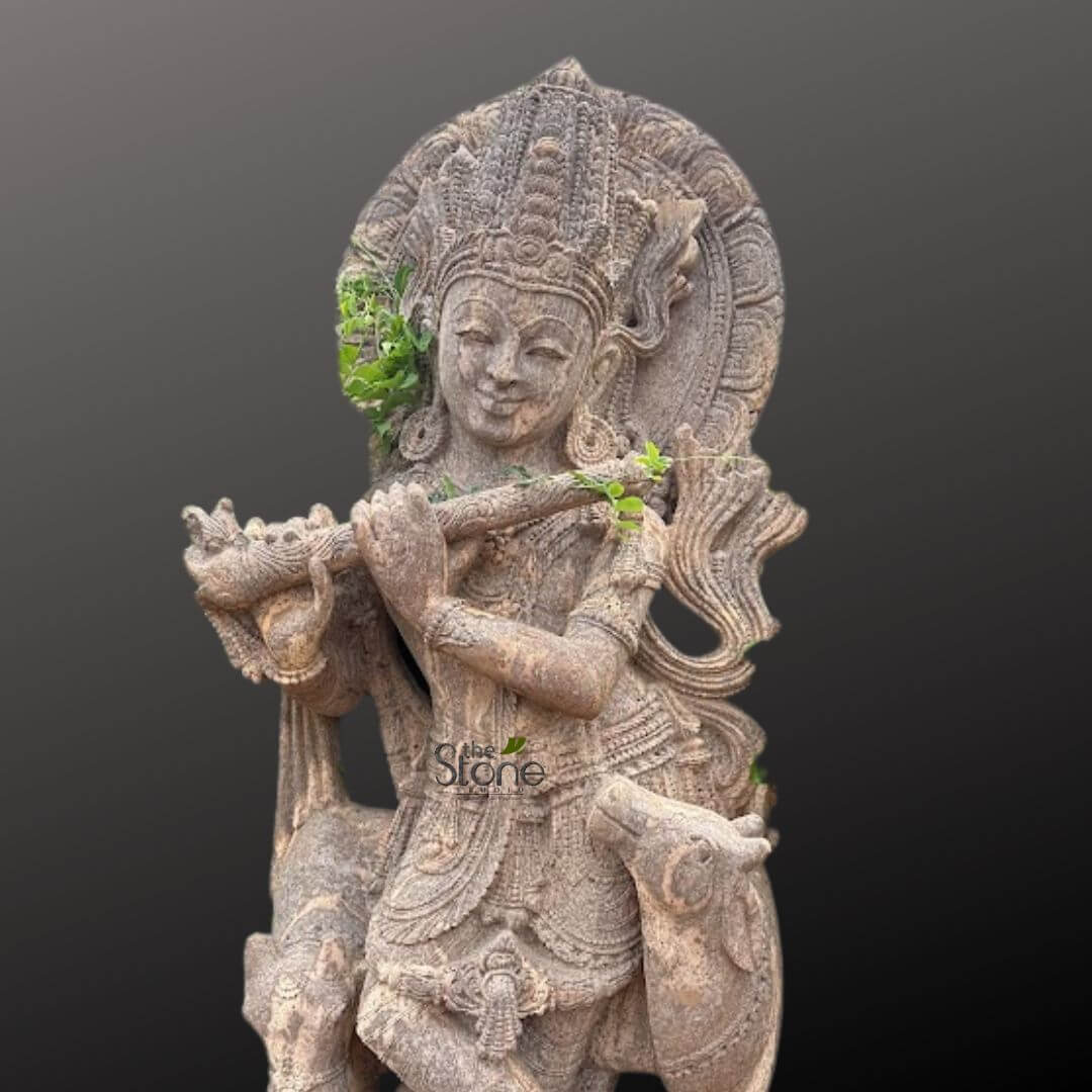 Gopala Krishna statue 5ft 6 detailed and intricately carved stone sculpture, likely depicting Lord Krishna as Govinda or Gopala, playing his iconic Bansuri flute. The statue is rendered in a warm, earthy tone, characteristic of sandstone or similar natural stone, with a textured, slightly weathered appearance that suggests age or outdoor placement. The central figure of Krishna stands serenely, his body slightly bent in the Tribhanga posture, characteristic of his depiction. He wears an elaborate, multi-tiered crown adorned with intricate carvings and jewels, framing his peaceful face. His eyes are gently closed or downcast, and a subtle, blissful smile plays on his lips, conveying a sense of divine calm and joy. His long, wavy hair is visible beneath the crown, and he is richly adorned with traditional Indian jewelry, including necklaces, armlets, bracelets, and a patterned waist belt, all meticulously carved into the stone. His dhoti or lower garment features delicate folds and decorative motifs. Krishna holds a long flute horizontally to his lips with both hands, his fingers delicately poised over the finger holes as if producing a melodious tune. Small clusters of vibrant green plant tendrils or leaves are subtly intertwined around his crown, behind his left ear, and along the flute, adding a natural, organic touch and suggesting the statue is either old and acquiring a natural patina, or designed to integrate with a garden or natural setting. Flanking Krishna's legs are two docile calves or young cows, one on each side, carved with soft, rounded forms. Their heads are tilted slightly upwards, gazing reverently towards the deity, embodying Krishna's role as a protector of cows and nature. Behind Krishna's head, an ornate halo or archway, possibly representing foliage or a celestial aureole, frames the upper portion of the deity, enhancing his divine presence. The entire sculpture is presented against a plain, dark gray to black background, which effectively isolates the artwork and accentuates the intricate details, rich textures, and light-colored stone of the carving. A discreet watermark "The Stone" is visible on the lower front of the statue. This image is highly suitable for articles discussing traditional Indian stone carving, Hindu religious art, spiritual garden decor, or the cultural significance of Lord Krishna and his association with music and nature.