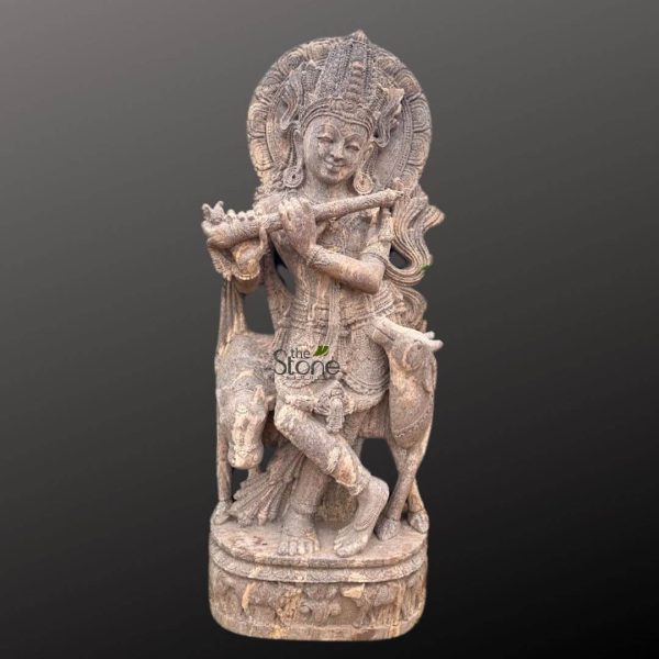 This long and descriptive alt text aims to capture all visual elements, integrate keywords, and suggest its relevance to potential article content: A large, intricately carved stone sculpture depicts Lord Krishna standing in the classic Tribhanga pose, characterized by a gentle three-bend body posture with his right leg crossed over his left. The deity holds a flute gracefully to his lips with both hands, poised as if playing a melodious tune. Krishna's face bears a serene, youthful expression with a gentle smile, and he is adorned with a highly detailed, multi-tiered crown and elaborate traditional Indian ornaments, including necklaces, armlets, and anklets. Behind his head, a radiant, circular halo (prabhamandala) is intricately carved with decorative patterns, symbolizing his divinity. His long hair flows elegantly behind his shoulders, adding to the detailed craftsmanship. He wears a meticulously draped dhoti-like garment around his lower body, also featuring subtle textural details. At Krishna's feet, two calves or cows are depicted, one on either side, embodying his traditional role as a divine cowherd (Gopala). These gentle animals appear peaceful, with their heads subtly turned towards Krishna or grazing nearby, rendered with soft contours that complement the main figure. The entire sculpture is crafted from a light brown or reddish-brown sandstone, showcasing the natural grain and earthy texture of the material. The surface has a slightly weathered or antique appearance, enhancing its traditional aesthetic and highlighting the artisanal craftsmanship. The statue rests on a robust, multi-tiered round pedestal, which is also carved with decorative patterns, possibly floral motifs or traditional Indian designs. The background is a plain, dark gray, which allows the intricate details and warm, earthy tones of the stone carving to stand out prominently. A faint "the Stone" logo with a leaf graphic is visible near the base, indicating the source or vendor of this hand-carved Hindu deity statue. This spiritual art piece conveys a sense of tranquility and devotional beauty, making it suitable for articles discussing Hindu mythology, Indian religious art, the cultural significance of Lord Krishna, traditional stone sculpture techniques, temple decor, or high-quality cultural artifacts and home decor with a spiritual theme.