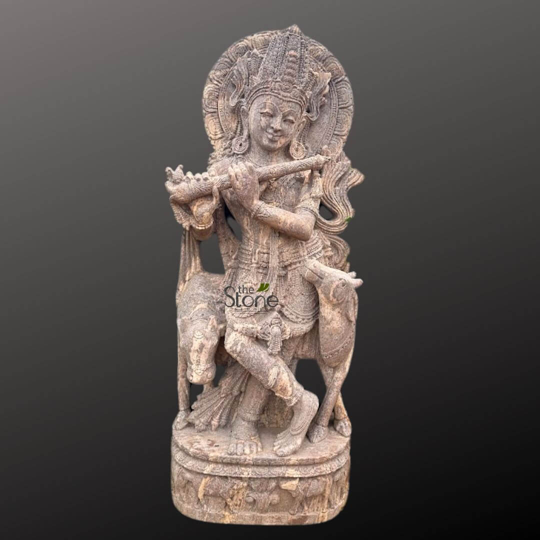 Gopala Krishna statue 5ft 1 This long and descriptive alt text aims to capture all visual elements, integrate keywords, and suggest its relevance to potential article content: A large, intricately carved stone sculpture depicts Lord Krishna standing in the classic Tribhanga pose, characterized by a gentle three-bend body posture with his right leg crossed over his left. The deity holds a flute gracefully to his lips with both hands, poised as if playing a melodious tune. Krishna's face bears a serene, youthful expression with a gentle smile, and he is adorned with a highly detailed, multi-tiered crown and elaborate traditional Indian ornaments, including necklaces, armlets, and anklets. Behind his head, a radiant, circular halo (prabhamandala) is intricately carved with decorative patterns, symbolizing his divinity. His long hair flows elegantly behind his shoulders, adding to the detailed craftsmanship. He wears a meticulously draped dhoti-like garment around his lower body, also featuring subtle textural details. At Krishna's feet, two calves or cows are depicted, one on either side, embodying his traditional role as a divine cowherd (Gopala). These gentle animals appear peaceful, with their heads subtly turned towards Krishna or grazing nearby, rendered with soft contours that complement the main figure. The entire sculpture is crafted from a light brown or reddish-brown sandstone, showcasing the natural grain and earthy texture of the material. The surface has a slightly weathered or antique appearance, enhancing its traditional aesthetic and highlighting the artisanal craftsmanship. The statue rests on a robust, multi-tiered round pedestal, which is also carved with decorative patterns, possibly floral motifs or traditional Indian designs. The background is a plain, dark gray, which allows the intricate details and warm, earthy tones of the stone carving to stand out prominently. A faint "the Stone" logo with a leaf graphic is visible near the base, indicating the source or vendor of this hand-carved Hindu deity statue. This spiritual art piece conveys a sense of tranquility and devotional beauty, making it suitable for articles discussing Hindu mythology, Indian religious art, the cultural significance of Lord Krishna, traditional stone sculpture techniques, temple decor, or high-quality cultural artifacts and home decor with a spiritual theme.