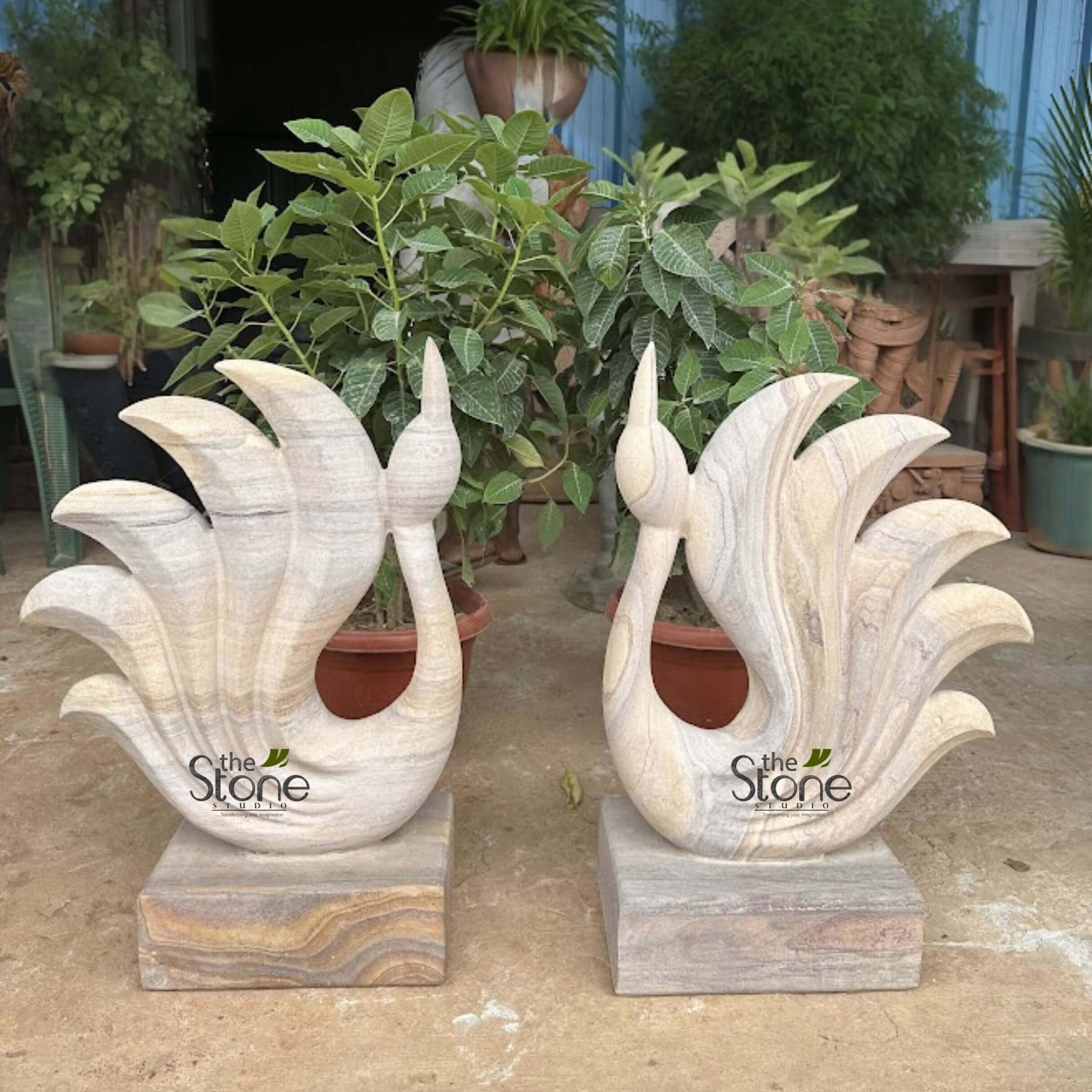 Abstract Peacock Statue 2ft 2 captivating pair of handcrafted stone sculptures, depicting stylized, elegant birds resembling peacocks or graceful swans with fanned tails, are prominently displayed side-by-side in the foreground. Each sculpture is meticulously carved from natural sandstone, showcasing beautiful light cream, beige, and soft brown tones with distinctive horizontal and swirling veins that highlight the contours of the body and the layers of the fanned tail feathers. The birds feature slender, arching necks that curve gently upwards to a small pointed head, while their broad, multi-layered fanned tails extend gracefully behind, giving them a sense of movement and grandeur. They stand upright on solid, rectangular bases made from the same layered sandstone, which provides both stability and a cohesive aesthetic. The two identical, yet unique due to the natural stone patterns, sculptures are positioned outdoors on a light-colored, possibly concrete or stone, surface. In the lush background, a variety of vibrant green potted plants, including small trees and leafy shrubs, create a natural, serene garden or outdoor showroom environment, suggesting these pieces are ideal for landscape design or garden decor. Hints of a blue wall or building structure are visible further back. The "The Stone Studio" logo, in a subtle black and green design, is overlaid transparently on the lower body of each bird sculpture, indicating their origin and craftsmanship. This image effectively highlights the artistry, skill, and natural beauty of bespoke stone pieces, perfect for enhancing any garden, patio, or interior space with elegant, handcrafted art and quality stone decor.