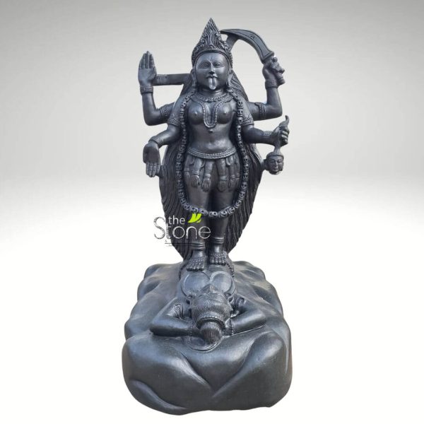 majestic and intricately carved black granite sculpture of the Hindu Goddess Kali, presented against a minimalist light gray background that emphasizes its detailed craftsmanship. The powerful deity is depicted in her fierce, iconic form (Mahakali), standing upright with her left foot resting on the chest of Lord Shiva, who lies serenely on his back. Kali wears an elaborate, pointed crown adorned with intricate patterns. Her face conveys intense focus and power, characterized by wide, penetrating eyes and her signature protruding red tongue, symbolizing her untamed nature and transcendence of worldly attachments. Long, dark hair cascades down her back, creating a dramatic silhouette. She is richly adorned with a detailed garland of human heads or skulls (mundamala) that drapes from her neck to below her waist, signifying her victory over ego and mortality. The Goddess has four arms, each holding symbolic objects. Her upper right hand wields a crescent-shaped sword (khadga), representing divine knowledge and the destruction of ignorance. Her lower right hand holds a freshly severed head, signifying the slaying of ego and attachment. Her upper left hand is raised in a gesture that resembles the Abhaya Mudra, offering fearlessness or protection, while her lower left hand holds a kapala (skull cup), often depicted as collecting blood or representing the vessel of existence. Around her waist, she wears a skirt or girdle made of severed human arms, further emphasizing her role as the destroyer of evil and illusion. Her powerful physique is sculpted with traditional Indian artistic conventions, showcasing strength and divine energy. Beneath her feet, Lord Shiva lies calmly, his eyes gazing upwards, his arms bent and hands resting beneath his head. He often represents pure consciousness or the inert masculine principle that allows the active feminine (Shakti, embodied by Kali) to operate. His tranquil expression provides a striking contrast to Kali's ferocious energy. The entire sculpture rests on an organic, textured base, suggesting a natural, rocky setting. The dark, polished stone highlights the exquisite craftsmanship, with sharp details capturing every aspect of the deity's powerful iconography. The visible watermark "the Stone Studio" suggests this is a piece from a specialized artisan or retailer dealing in traditional stone sculptures. This Kali idol is a prime example of spiritual Hindu art, ideal for worship, home altars, or as a powerful statement piece representing divine feminine power, destruction of ego, time, and liberation, making it highly relevant for articles on Hindu philosophy, Indian sculpture, or divine manifestations.