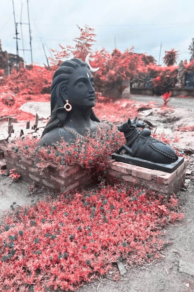 Symbolism of Adiyogi statues