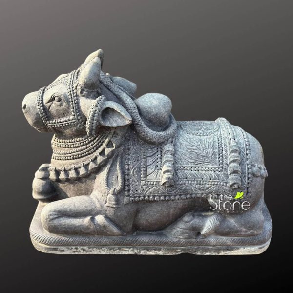 highly detailed, dark grey stone sculpture depicts a reclining Nandi bull, resting peacefully with its head turned slightly to the left, gazing forward. The entire piece showcases exquisite traditional craftsmanship and rich Hindu iconography. The bull is intricately adorned with ceremonial embellishments. Its head features a finely carved bridle with textured dot patterns and a distinctive star-like emblem centered on its forehead. The eyes are deeply set, conveying a serene and watchful expression, while its short, sturdy horns curve gracefully. Around its robust neck, multiple layers of ornate necklaces, resembling strands of beads, cascade downwards, topped by a decorative collar with triangular, pointed fringes. A prominent hump rises on the bull's back, which is draped with an elaborate saddlecloth or blanket. This textile-like covering is deeply carved with traditional patterns, including delicate floral motifs such as leaves and vines, meticulously bordered by geometric designs like chevrons and repeated patterns. Braided rope-like elements and small, decorative bells are intricately carved to appear as if hanging from the sides of the blanket, adding to the sense of ceremonial readiness. The bull's strong, stylized legs are tucked beneath its body as it rests on a simple, rectangular base, which is also adorned with a finely carved rope-twist border. The monochromatic dark grey stone material, possibly granite or basalt, highlights the intricate relief carvings and textural variations, from the smooth finish of the bull's body to the deeply etched details of its adornments. The statue is presented against a plain, dark grey background, ensuring that all focus remains on its form and craftsmanship. A subtle "the Stone Studio" logo, with a green accent, is visible on the lower right side of the carved blanket. This stunning Nandi bull sculpture exemplifies a significant piece of traditional Indian art, often revered in Hindu culture as a symbol of devotion and a mount of Lord Shiva, making it a powerful statement piece for spiritual decor, temple settings, or a cultural art collection.