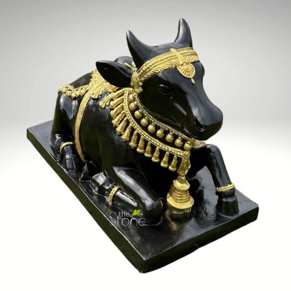striking and highly detailed black Nandi bull statue, intricately adorned with lustrous gold accents, is presented reclining on a matching rectangular black base. The idol, a revered symbol in Hinduism as the mount (vahana) of Lord Shiva, is crafted with a smooth, glossy black finish that gives it a sophisticated, polished appearance. The Nandi bull is depicted in a serene and attentive pose, with its head slightly turned to the right, ears pointed, and short, sturdy horns arching upwards. Its facial features are gently sculpted, conveying a sense of calm devotion. Exquisite golden ornamentation enhances the statue's sacred and decorative appeal. A prominent gold headband, featuring intricate patterns and a central circular medallion, rests elegantly on its forehead. Around its neck, a grand, multi-layered golden necklace or garland drapes, embellished with numerous small, spherical beads and an array of ornate golden tassels or bells that hang down. A particularly prominent, larger golden bell is suspended from the necklace at the front of the bull's chest, resting near its forelegs. A richly patterned gold saddle cloth or blanket adorns the bull's back, extending along its spine and adding to its regal appearance. Golden bangles or anklets encircle the bull's bent forelegs, which rest gracefully on the base. The overall aesthetic is one of traditional Indian artistry and spiritual significance, highlighting the cultural importance of the Nandi bull. The stark contrast between the deep, glossy black and the gleaming gold creates a luxurious and eye-catching display. The statue is professionally photographed against a plain, light grey background, allowing its intricate details and elegant form to stand out, suggesting its use as a beautiful piece of Hindu devotional art, cultural home decor, or a spiritual artifact.