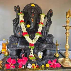 A beautifully adorned three-foot black stone statue of Lord Ganesha, positioned on an altar or shrine, ready for worship. The Ganesha idol, sculpted from polished black stone, sits majestically against a plain grey wall, creating a striking contrast that highlights its form and embellishments. This image showcases a typical placement for such an idol in a devotional setting. Lord Ganesha is depicted in a seated posture, with his trunk curled towards his left, adorned with a tilak (sacred mark) in red and yellow on his forehead. His large, fan-like ears and ornate crown are visible, contributing to his divine presence. He has four arms, with his lower right hand raised in the abhaya mudra (gesture of blessing) and his lower left hand holding a modak (sweet dumpling). His upper hands hold an ankusha (goad) and a pasha (noose), though partially obscured by garlands. The statue is elaborately decorated with fresh garlands made of white jasmine flowers interspersed with vibrant red hibiscus, draping elegantly around his neck and chest. Small yellow and white flowers, along with additional red hibiscus blooms, are scattered at the base of the statue and on the altar, creating a colorful and festive atmosphere. To the right of the statue, a tall, ornate brass oil lamp (diya or kuthuvilakku) stands prominently, its flames symbolizing light and knowledge. To the left, various puja items are visible, including a small brass bell, a bottle of oil, and other offerings, indicating an active worship area. The black stone's smooth, reflective surface captures subtle highlights, giving the idol a profound and serene appearance, perfectly illustrating the 3ft Ganesha black stone placement for devotion.
