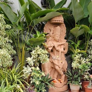 A serene and masterfully hand-carved stone Krishna statue stands as a spiritual centerpiece in a lush, tropical Visakhapatnam garden. The sculpture, crafted from natural sandstone with warm earthy tones, depicts Lord Krishna in his iconic 'Tribhanga' or triple-bend posture, gracefully holding a flute to his lips. The deity is adorned with an intricately detailed towering crown (mukut), layered necklaces, and traditional ornaments. He is framed by a majestic decorative archway featuring a small, bell-shaped canopy at the peak. The Krishna murti is nestled within a dense arrangement of vibrant garden plants, including large, broad green leaves, variegated shrubs, and purple Tradescantia, all housed in traditional terracotta pots. This setting beautifully illustrates the integration of spiritual stone art into outdoor landscape design, creating a peaceful sanctuary for meditation and devotion in a coastal city like Visakhapatnam. The natural texture of the stone sculpture contrasts elegantly with the surrounding greenery, making it a timeless addition to high-end residential garden decor.