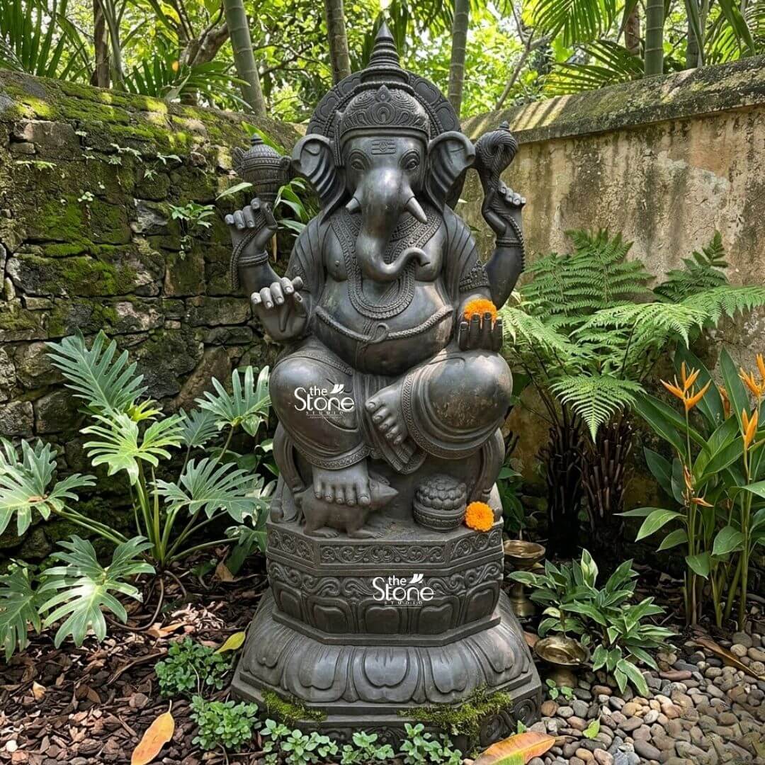 3.5ft Ganesha Garden Statue 3 A striking 3.5-foot black stone Ganesha statue is prominently displayed in a lush verdant garden embodying a serene and spiritual presence. The statue is seated in a relaxed posture on an ornate lotus pedestal which in turn rests on a multi-tiered octagonal base. Ganesha's elephant head is intricately carved with large fanned ears gentle eyes and a trunk gracefully curled towards his left reaching for a sweet. He wears a majestic crown elaborate necklaces and armbands all meticulously detailed to showcase the depth and texture of the black stone. His upper right hand holds a conch shell and his upper left hand holds an axe. His lower right hand extends in a gesture of blessing holding a vibrant orange marigold while his lower left hand cradles a bowl of modak. A second orange marigold is placed at the base of the statue. The statue is surrounded by a variety of tropical foliage including broad-leafed plants ferns and green moss-covered stone walls in the background creating a harmonious blend of natural beauty and divine artistry. The earthy tones of the garden mulch and pebbles around the base further enhance the statue's grounded and ancient aesthetic perfectly illustrating its use as a 3.5 Feet Ganesha Statue for Garden.