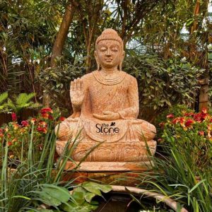 A serene 3-foot brown sandstone Buddha statue is beautifully situated in a lush outdoor garden setting possibly in Pune surrounded by vibrant greenery and blooming flowers. The statue is carved from reddish-brown sandstone showcasing its natural textured finish and warm earthy tones which blend harmoniously with the botanical environment. Buddha is depicted in a traditional seated meditation posture with his legs crossed. His right hand is raised in a gesture of fearlessness or blessing while his left hand rests gently in his lap palms facing upwards likely in Dhyana Mudra. Buddha's face exudes deep tranquility with downcast eyes and a subtle smile embodying inner peace and contemplative calm. His hair is composed of tight uniform curls, meticulously carved, and topped with an ushnisha symbolizing heightened spiritual wisdom. The flowing robes are sculpted with soft folds, elegantly draped over his left shoulder and across his body. The textured surface of the sandstone highlights the details of his serene form. The statue rests on a simple, tiered base, which in turn sits on a wider platform, positioned at the edge of a small pond or water feature with lily pads in the foreground. The surrounding garden includes various leafy plants, ferns, and pops of color from red and yellow flowers, creating a peaceful and natural backdrop under dappled light. This detailed image powerfully conveys the spiritual essence and artistic craftsmanship of the brown sandstone Buddha statue, making it highly relevant to an article discussing its presence in Pune.