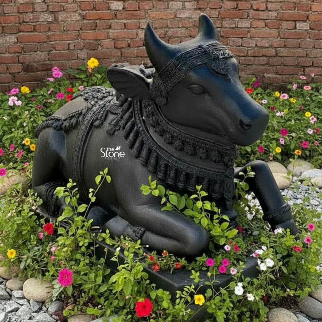 Black Nandi Bull Statue for Home 2.5ft 3 A majestic 2.5-foot black stone sitting Nandi statue perfectly suited for a home temple or garden is beautifully nestled amidst a vibrant bed of colorful flowers and greenery against a rustic brick wall. This exquisite sculpture depicts Nandi the revered vahana of Lord Shiva in a classic reclining posture symbolizing unwavering patience devotion and strength. The bull is shown lying down with its legs gracefully folded beneath its body its head turned slightly to the right looking forward with a calm and benevolent expression. The craftsmanship of the statue is exceptional showcasing the smooth deep black stone that beautifully accentuates Nandi's powerful yet serene form. The bull is richly adorned with meticulously carved traditional Indian jewelry and ceremonial embellishments. These include an elaborate crown or headpiece on its forehead intricately designed necklaces with dangling ornaments around its neck and decorative blankets or saddle covers carved onto its back all integrated seamlessly into the stone. The details of the ornaments such as beads, bells and patterns are finely rendered enhancing the statue's divine appearance and cultural authenticity. Nandi's facial features are finely sculpted with a tranquil and benevolent expression characterized by gentle eyes a strong snout and well-formed horns that rise gracefully from its head. The texture of the black stone with its inherent depth and subtle sheen gives the statue a timeless and dignified quality. The bull rests on a sturdy, rectangular black stone base which is partially obscured by the vibrant flowers and green foliage that surround it. The foreground is alive with a mix of small colorful blooms in shades of pink, red yellow, and white interspersed with green leafy plants and scattered river stones creating a natural and inviting environment. The warm brick wall in the background adds to the traditional and rustic charm of the setting. This blackstone Nandi statue is not merely a decorative item but a powerful spiritual artifact inspiring devotion and bringing an auspicious presence to any home temple or garden.