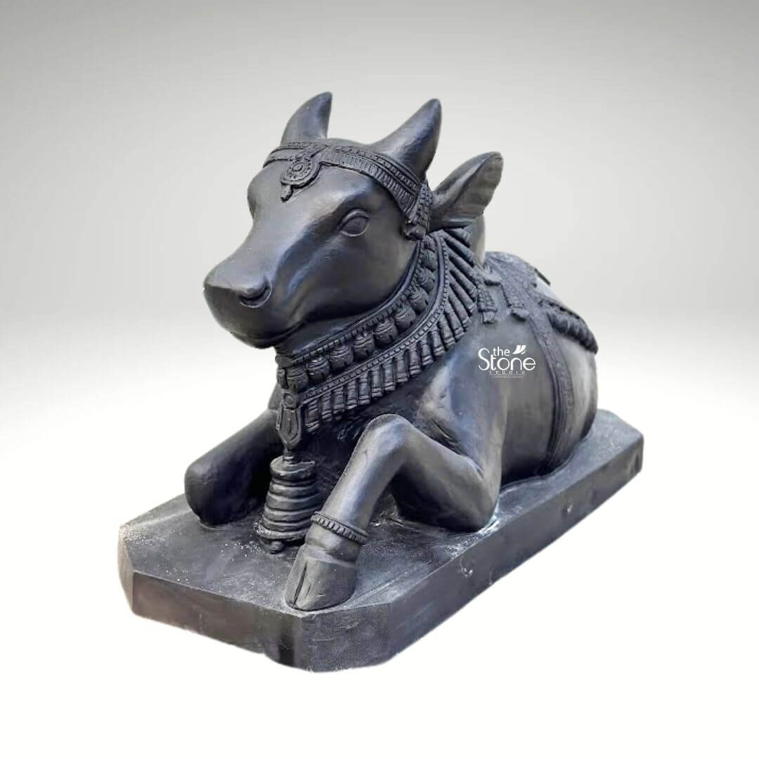 Black Nandi Bull Statue for Home 2.5ft 7 A majestic 2.5-foot black stone Nandi idol specifically crafted for a Mandir is prominently featured against a clean neutral background emphasizing its intricate details and sacred presence. This exquisite sculpture depicts Nandi the revered vahana of Lord Shiva in a classic reclining posture symbolizing unwavering patience devotion and strength making it ideal for an article discussing black stone Nandi idols for Mandirs. The bull is shown lying down with its legs gracefully folded beneath its body its head turned slightly to the right looking forward with a calm and benevolent expression. The craftsmanship of the idol is exceptional showcasing the smooth deep black stone that beautifully accentuates Nandi's powerful yet serene form. The bull is richly adorned with meticulously carved traditional Indian jewelry and ceremonial embellishments. These include an elaborate crown or headpiece on its forehead intricately designed necklaces with dangling ornaments around its neck (including what appears to be a large bell or ghanta between its front legs) and decorative blankets or saddle covers carved onto its back all integrated seamlessly into the stone. The details of the ornaments, such as beads bells, and patterns are finely rendered enhancing the idol's divine appearance and cultural authenticity. Nandi's facial features are finely sculpted with a tranquil and benevolent expression characterized by gentle eyes a strong snout and well-formed horns that rise gracefully from its head. The texture of the black stone with its inherent depth and subtle sheen, gives the idol a timeless and dignified quality suitable for veneration. The bull rests on a sturdy rectangular black stone base which provides stability and a formal presentation consistent with an object of worship in a Mandir. This 2.5-foot blackstone Nandi idol is not merely a decorative item but a powerful spiritual artifact inspiring deep devotion and bringing an auspicious presence to any sacred space.