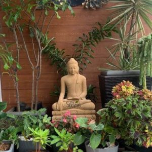 An serene Antique Look Buddha Statue is beautifully nestled within a lush vibrant garden setting creating a peaceful and meditative atmosphere. The Buddha statue is crafted from a light brown or sandy-colored material possibly stone or a stone-like composite giving it a weathered timeless appearance. He is depicted in a traditional meditative posture with hands resting gently in his lap palms open signifying contemplation and inner peace. His face carries a tranquil expression with downcast eyes suggesting deep spiritual focus. The ushnisha and tightly curled hair are characteristic features along with elongated earlobes. The Buddha statue sits on a multi-tiered carved base that complements its antique aesthetic blending seamlessly with the natural surroundings. It is positioned against a warm wooden slatted wall which provides a natural and harmonious backdrop. The area around the statue is richly filled with a variety of green plants of different sizes and textures including small potted plants with broad leaves trailing vines and taller slender trees creating a dense and vibrant green enclosure. In front of the Buddha a cluster of flowering plants with pink blooms adds a subtle touch of color and softness to the foreground. To the right of the statue a dark woven planter with a taller variegated plant adds depth and texture to the scene. The natural light filtering through the foliage creates a soft dappled illumination enhancing the serene ambiance. This image perfectly illustrates an article about Antique Look Buddha Statues particularly those found in locations like Bangalore showcasing how such a statue can be a central element in creating a tranquil outdoor sanctuary embodying peace contemplation and natural beauty.