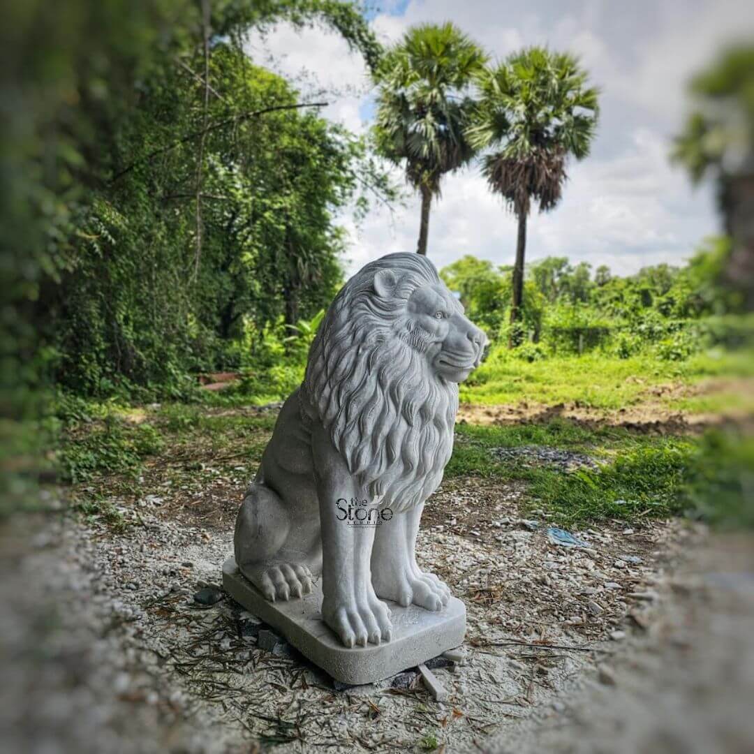 White Marble Lion Statue 5ft 3 A magnificent marble lion statue is prominently displayed outdoors nestled in a semi-natural setting making it an ideal choice for garden decor. The lion is meticulously sculpted in a regal seated position with its powerful body held upright and its head turned to the right gazing intently into the distance with a watchful and majestic demeanor. Its profile reveals a detailed expression with a strong jawline and prominent features. The intricate carving brilliantly captures the texture of its flowing voluminous mane which cascades around its head neck and shoulders conveying a sense of immense power and dignity. The statue is crafted from pristine white or light-colored marble which exquisitely emphasizes the fine details of the carving from the individual strands within the mane to the robust structure of its paws and the sharp definition of its claws. The smooth surface of the marble reflects the bright ambient light, accentuating the contours and musculature of the lion's formidable form. The inherent beauty and purity of the marble are showcased highlighting the exceptional skill of the artisan in bringing such a formidable creature to life in stone perfectly complementing a garden environment. The marble lion statue rests on a sturdy, rectangular base also carved from matching marble providing a solid foundation. The natural outdoor setting features a rustic ground of dirt and small stones surrounded by lush green trees and foliage in the background. Two prominent palm trees stand tall behind the statue, adding to the tropical or natural landscape. This elegant sculpture captures the essence of a powerful guardian and a timeless symbol of royalty and strength making it a captivating subject for an article exploring marble lion statues and their commanding presence when used for garden decoration.