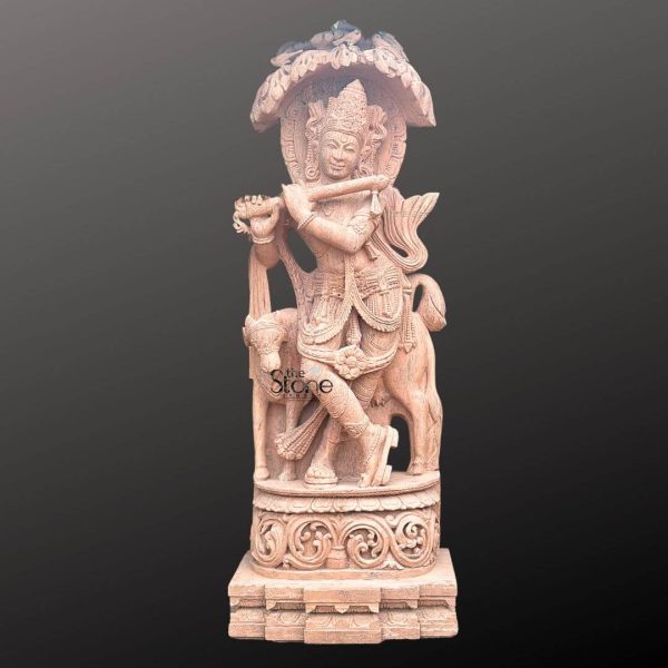 A magnificent 6-foot large Krishna stone sculptur carved from sandstone featuring Lord Krishna standing gracefully with a cow, as highlighted in an article about such sculptures. The entire statue rendered in the natural reddish-brown hue of sandstone exudes a rustic yet elegant appeal. Lord Krishna is depicted in his iconic Tribhanga pose holding a flute to his lips captivating all with his divine music. He wears an elaborate crown and intricate jewelry including necklaces armlets and ankle bracelets all meticulously carved from the stone. The carving details on Krishna's attire such as his dhoti and sash are highly refined showcasing the skill of the artisan. His serene expression and slightly tilted head evoke a sense of divine charm and playfulness. Standing next to him partly obscured by Krishna is a cow, a symbol of purity abundance and devotion gently nuzzling against his side. The cow's form is also intricately carved with soft contours and a calm demeanor reinforcing Krishna's role as a protector of cows and a pastoral deity. The sculpture rests on an ornate multi-tiered pedestal also carved from sandstone. The base features traditional Indian architectural motifs and decorative patterns adding to the grandeur of the piece. Above Krishna a beautifully sculpted arch or canopy possibly representing a tree or an ornate temple arch further enhances the visual impact. This 6-foot sandstone Krishna statue is a powerful representation of devotion and artistry making it an ideal centerpiece for gardens courtyards or large temple spaces embodying the spiritual and aesthetic value discussed in the article.