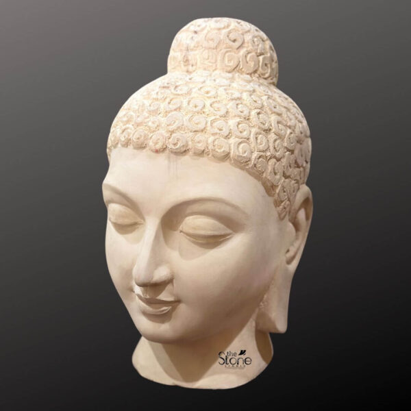 A detailed studio photograph captures a hand-carved 12-inch tall wooden Buddha head statue presented against a smooth dark grey gradient background that isolates the figure. The sculpture is crafted from a light-toned fine-grained wood exhibiting a natural warm beige-white color with subtle grain variations visible across the surface. The Buddha's head is depicted with a serene contemplative expression featuring closed eyes gracefully arched eyebrows and a gentle compassionate smile. The overall form is meticulously smoothed creating soft organic curves that define the facial structure and the neck. The statue's hair is intricately carved into traditional small tight curls known as ushnisha which cover the scalp and form the cranial protuberance symbolizing wisdom and enlightenment. The curls are deeply and consistently carved showcasing the artisan's skill in creating textural contrast with the smooth face. The elongated earlobes a traditional attribute representing compassion and renunciation of worldly wealth frame the face with the wood grain subtly visible within the carved details. This compact 12-inch wooden Buddha head statue serves as a profound statement piece embodying a sense of peace and spirituality suitable for intimate spaces. The choice of wood lends a natural warmth and organic texture that enhances its meditative presence making it an ideal centerpiece for articles discussing sacred art interior design or the cultural significance of Buddha statues in a smaller scale. The carving's precision demonstrates how such a revered artifact can transform a room serving as a focal point for reflection.