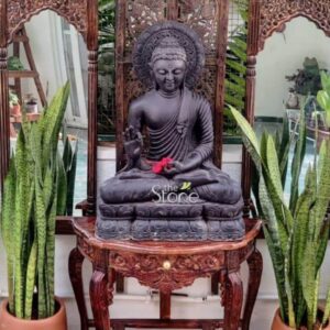 A beautifully composed indoor shrine centers on a magnificent 3-foot-tall Black Stone Buddha Statue carved from a single piece of dark rich blackstone. The Buddha is depicted in a seated meditative pose known as Padmasana with his left hand resting on his lap in the gesture of meditation and his right hand raised in the gesture of fearlessness bestowing blessings. The statue rests on an ornate carved blackstone pedestal base, which in turn is placed upon a dark intricately carved wooden console table with cabriole legs creating a layered and traditional display. The smooth dark surface of the stone absorbs ambient light highlighting the soft folds of the sanghati and the serene downcast expression on the Buddha's face. The Black Stone Buddha Statue is set against a backdrop of a heavily carved dark wood screen featuring detailed traditional Indian motifs of floral patterns and peacocks which adds depth and cultural context to the shrine. Flanking the central console table are two large terracotta planters each holding a tall, vibrant Snake Plant also known as Mother-in-Law's Tongue with its characteristic stiff upright sword-like leaves. The lush green of the plants provides a striking and natural contrast to the dark solemn stone and wood creating a balanced and tranquil composition within a home or gallery setting. This image perfectly illustrates the elegance and spiritual presence of a Black Stone Buddha Statue in Hyderabad demonstrating how such a traditional 3-foot murti can become the focal point of a peaceful home interior. The rich dark texture of the blackstone the intricate wood carvings and the vibrant plant life together convey a sense of calm and reverence. The photograph captures the high level of artisanal craftsmanship inherent in acquiring a significant piece of stonework for a shrine in Hyderabad, showcasing its ability to harmonize with traditional Indian decor and create an auspicious atmosphere.