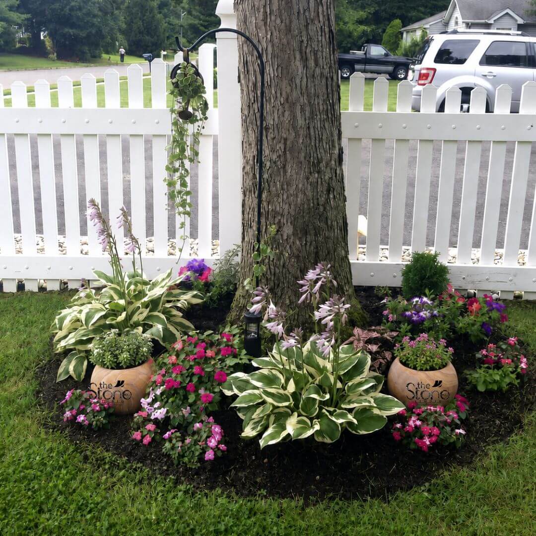A vibrant outdoor garden scene at eye-level features a beautifully landscaped circular mulched bed situated at the base of a mature tree trunk. A classic white picket fence runs horizontally across the background with a glimpse of a residential street and parked cars beyond. The tree trunk dominates the center of the composition. At the front corners of the garden bed are two identical hand-carved sandstone plant pots. These spherical planters exhibit a rich earthy honey-gold color with natural flowing strata patterns in cream and brown showcasing the unique veining of the sandstone. Each pot is filled with soil and small flowering plants. The garden bed is densely planted with a variety of lush greenery and colorful blooms creating a harmonious display. Prominent in the front-left and front-right are large hosta plants with variegated leaves in green and creamy white. Tall delicate stalks of purple-pink flowering foxglove emerge from the hostas. Surrounding these are masses of smaller, vibrant annuals including clusters of bright pink and fuchsia impatiens and purple calibrachoa. To the far right there is a small dark evergreen shrub and some mixed petunias. An iron shepherd's hook stands just behind the tree trunk suspending a small hanging basket filled with trailing green foliage. At the very base of the tree there is a small black solar light. The natural texture of the sandstone pots contrasts beautifully with the soft leaves of the hostas and the delicate petals of the flowers. This image perfectly illustrates how a hand-carved sandstone plant pot can serve as both a functional and decorative element in a suburban garden blending timeless natural materials with cultivated plant life to enhance the overall aesthetic. The enduring appeal and artisanal quality of the sandstone make these pots a valuable addition to any landscape design.