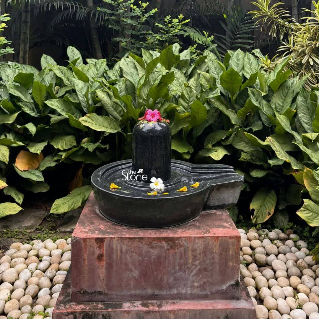 A centered eye-level photograph captures a reverently installed handcrafted black stone Shivling statue with its Yoni base situated outdoors in a tranquil garden setting. The sacred artifact is elevated on a weathered reddish-brown stone pedestal which is itself set upon a bed of smooth light-grey river pebbles. The Shivling carved from dense dark black granite features a smooth polished cylindrical shaft representing Lord Shiva rising from the center of the circular Yoni base which symbolizes the divine feminine energy of Goddess Parvati. The Yoni base has a clearly defined rim and a projecting spout on the right side to channel ceremonial offerings of water or milk. The Shivling is adorned with fresh vibrant flowers, including a prominent pink frangipani blossom placed on its apex and a white frangipani flower with scattered yellow petals resting within the Yoni base basin. The background is a lush dense wall of various green tropical plants and large leaves creating a natural secluded backdrop that enhances the spiritual ambiance. The natural daylight filters through the foliage casting soft natural light on the dark stone highlighting its texture and the delicate colors of the flowers. The foreground river pebbles and the texture of the pedestal add grounding natural elements to the composition. This image serves as an ideal visual representation for an article discussing the traditional craftsmanship spiritual significance and proper installation of a handcrafted stone Shivling with a Yoni base in a garden or home shrine. The specific details of the dark stone the traditional iconography and the reverent floral offerings are all key elements for the reader. The outdoor garden setting demonstrates a common and culturally appropriate way to enshrine such a deity making the image highly relevant for those seeking inspiration for their own sacred space. The detailed carving and balanced proportions of this particular Shivling make it an excellent example of traditional Hindu devotional art.
