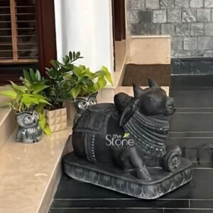 This finely detailed Nandi Stone Statue carved from a solid block of deep black natural granite serves as a prominent decorative element in a residential setting. The statue depicts the sacred bull Nandi the vahana of Lord Shiva in a traditional recumbent pose with its front legs folded and head held alert gazing forward. The dark stone has a rich semi-polished patina that highlights the intricate relief carvings on the saddle bells and multiple strands of beaded necklaces adorning the figure. The scale of the statue at approximately 2.5 feet in length makes it a substantial piece suitable for home display. The Nandi statue is placed on a multi-tiered ornate base also carved from matching black stone which elevates the deity and adds to its regal appearance. The setting is a well-appointed home entrance or living space evidenced by the polished light-colored stone steps and dark tiled flooring. The statue is positioned in a corner against a neutral wall, with a stacked-stone feature wall visible in the background creating a connection to traditional Indian architectural styles that makes it an ideal Nandi Stone Statue in Gurgaon. The surrounding elements enhance the devotional and decorative ambiance. To the left of the statue are two distinct planters: one a grey owl-shaped pot holding a vibrant money plant and the other a small geometric ceramic pot with a lush ZZ plant. These modern and whimsical planters provide a pleasing contrast to the classic stone sculpture. The natural light from an unseen window or door casts soft directional shadows across the statue emphasizing its three-dimensional form and the deep textures of the carving making it a beautiful focal point for any home.