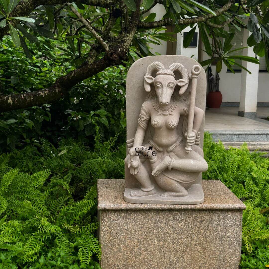 This is a centered eye-level photograph capturing a magnificent hand-carved off-white sandstone statue of the Yogini Vrishanana standing as a commanding focal point in a lush traditional temple garden. The statue which measures two feet in height depicts the Yogini a powerful female deity in a complex seated posture with her right leg bent and her foot resting on her mount a recumbent bull. She is sculpted with a human female body and the distinctive head of a horned goat creating the unique Vrishanana form. Her expression is calm and focused gazing forward and she is adorned with deeply carved traditional jewelry including multiple necklaces armlets and a detailed waistband all rendered directly from the stone with profound artistry. The Yogini Vrishanana statue is depicted with four arms showcasing complex iconography. Her primary right hand holds a small fruit or offering while her primary left hand rests gracefully on her raised left knee. In her upper right hand she holds a water pot and in her upper left hand she firmly grips a ritual staff topped with a symbolic disc. The statue's off-white sandstone material has a finely textured matte finish that emphasizes the high level of detail and the deep reliefs of the carving conveying a sense of age reverence and authenticity appropriate for an idol intended for a temple. The statue is elevated and centrally displayed upon a simple yet sturdy rectangular pedestal made of a complementary slightly speckled grey-brown granite block which anchors the piece within the garden landscape. The background is a dense vibrant tapestry of tropical foliage including various ferns large-leafed plants and the overhanging branches of a mature tree creating a seclude natural sanctuary. To the right a glimpse of a temple building's entrance with light-colored walls and a potted plant adds architectural context presenting the idol as a harmonious and spiritually significant addition to the sacred grounds.