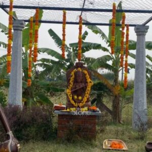 A centered eye-level photograph captures a reverently installed shrine in an outdoor garden setting featuring a three-foot-tall sandstone statue of Saraswati Maa. The statue is the focal point placed upon a raised weathered brick pedestal. It is meticulously hand-carved from warm-toned sandstone depicting the Hindu goddess of knowledge music and arts seated in a lalitasana pose. Saraswati Maa is adorned with a traditional crown jewelry and flowing garments and she holds her iconic attributes: a veena across her lap in two hands with prayer beads and a book in her other two hands. The statue is heavily garlanded with fresh yellow and orange marigolds and a few loose flowers are scattered at her feet on the pedestal. The shrine is situated within a simple open-air pavilion constructed from two classical stone pillars supporting a metal frame roof covered with a light mesh. This structure frames the deity and is draped with numerous vertical strings of yellow and orange marigold garlands creating a vibrant festive canopy over the statue. The background features a natural lush garden environment with several prominent banana trees with large green leaves dense foliage and a grassy lawn. In the foreground to the lower left a portion of a traditional string instrument likely a sitar or tanpura is visible resting on the grass further emphasizing the connection to the goddess of arts. To the lower right, a small, shallow offering tray holds more fresh marigolds. The natural diffused daylight illuminates the scene highlighting the intricate carvings and textures of the sandstone statue and the vibrant colors of the flowers. This image serves as a visual representation of a Saraswati Maa Stone Statue in Coimbatore highlighting a typical and culturally rich outdoor installation. The three-foot sandstone statue, with its detailed iconography is presented in a sanctified space framed by traditional pillars and floral decorations. The setting surrounded by banana trees and garden elements evokes a sense of peace and devotion common in South Indian home shrines. The presence of the musical instrument in the foreground reinforces the goddess's role making the image a perfect reference for articles discussing the significance and installation of such traditional stone sculptures in Coimbatore or similar cultural contexts. The craftsmanship of the sandstone carving is evident making the statue an attractive centerpiece for any sacred space.