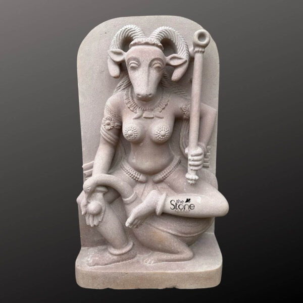This is a centered full-view photograph of a meticulously hand-carved off-white sandstone statue of the Yogini Vrishanana standing two feet tall and presented against a seamless dark grey studio background that fades to black. The statue depicts the Yogini a powerful female deity in a specific complex seated posture with her right leg bent and foot resting on her mount a recumbent bull. She is sculpted with a human female body and the head of a horned goat creating the unique Vrishanana form. Her expression is calm and focused gazing forward and she is adorned with deeply carved traditional jewelry including multiple necklaces armlets and a detailed waistband all rendered directly from the stone. The Yogini Vrishanana statue is depicted with four arms showcasing complex iconography. Her primary right hand holds a small fruit or offering while her primary left hand rests gracefully on her raised left knee. In her upper right hand she holds a water pot and in her upper left hand, she firmly grips a ritual staff topped with a symbolic disc. The statue's off-white sandstone material has a finely textured matte finish that emphasizes the high level of detail and the deep reliefs of the carving conveying a sense of age and reverence appropriate for this type of ancient-style art. The statue stands on a simple integrated sandstone base. The composition captures the complete form of the Yogini and her mount presenting the specific iconographic details that define the Vrishanana form. The soft even directional studio lighting illuminates the sculpture from the front and slightly to the side casting gentle shadows that define its three-dimensional form and highlight the rich tactile quality of the sandstone surface. The image accurately represents the two-foot scale of the piece making it a suitable representation for an article discussing this specific Yogini form.