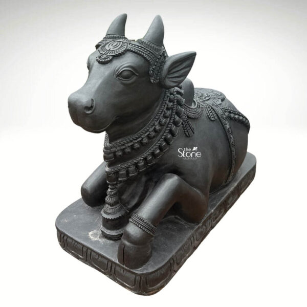 A detailed three-quarter view photograph of a magnificent 3 Ft Nandi Stone Statue meticulously carved and standing against a clean neutral background. This Blackstone Nandi statue is expertly hand-carved from a single block of deep dark black stone exhibiting a smooth matte finish that accentuates the natural rich color and texture of the basalt. The sacred bull is depicted in a traditional reverent seated posture with its front legs folded and its body oriented towards the left gazing intently in that direction with a peaceful expression. The sculpture captures the intricate details of Nandi's divine form with exceptional precision making it a stunning piece of devotional art. The bull is adorned with elaborate deeply cut ornamentation across its body all rendered in the black stone. This includes multiple strands of intricate necklaces a bell-adorned collar and richly decorated caparisons on its back featuring traditional Indian floral and geometric patterns. The carving highlights the muscular form the prominent hump and the fine details of the horns and ears. The statue is seated upon a substantial ornate pedestal also carved from the black stone featuring traditional Indian motifs and patterns that provide a stable and decorative base. The dark solemn presence of the basalt stone imparts a sense of ancient tradition and reverence making this 3 Ft Nandi Stone Statue a commanding and revered focal point for any article discussing the beauty and spiritual significance of Nandi sculptures. The photograph captures the perfect symmetry and rich craftsmanship of the masterwork.