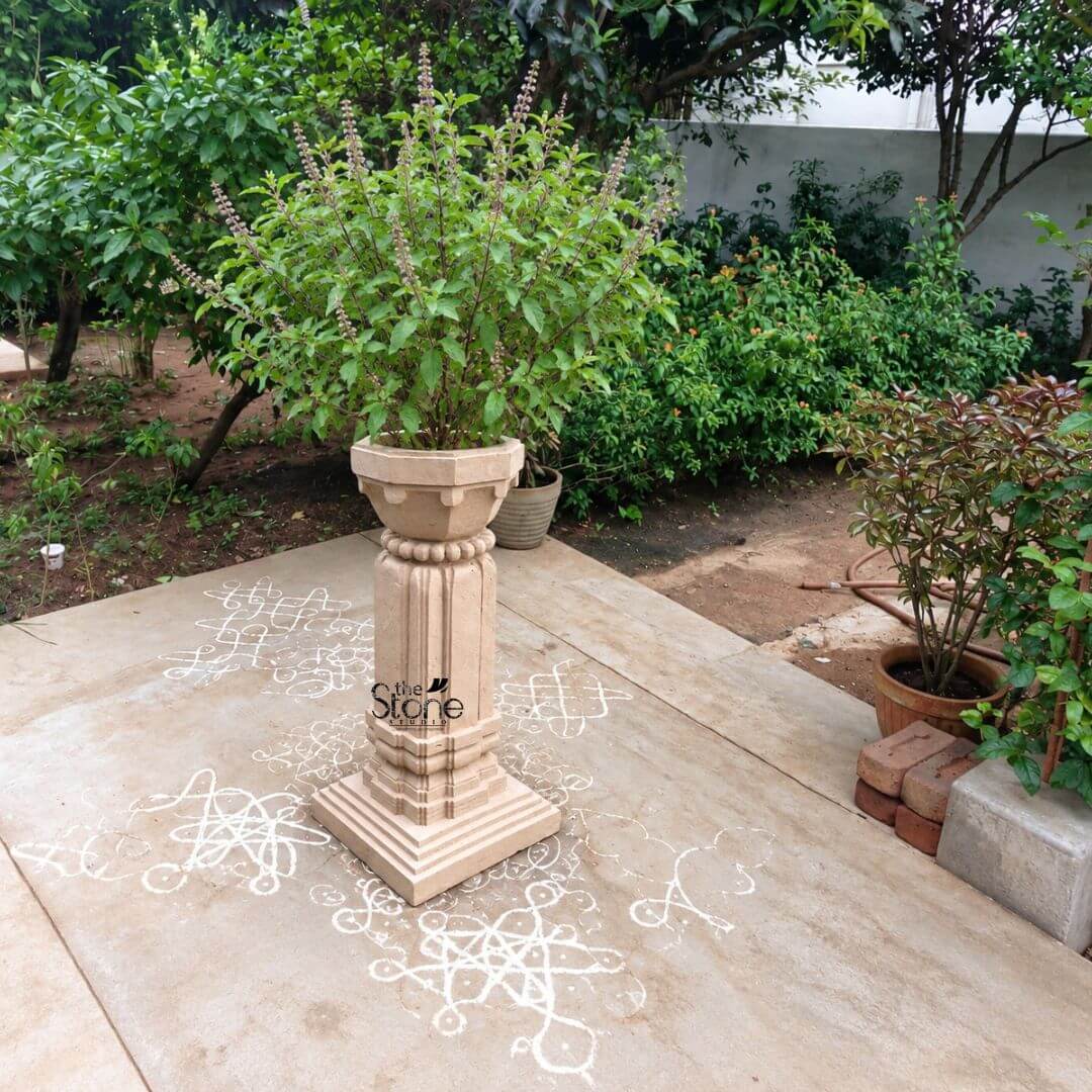 A full view photograph captures a traditional Sandstone Tulsi Planter standing prominently in a lush courtyard. The planter which is approximately 3 feet tall is hand-carved from a single block of warm brown sandstone showcasing a natural textured finish. It rests upon a substantial stepped square base providing excellent stability and a sense of grounded grandeur suitable for a courtyard or entrance. The main body of the planter features a beautifully proportioned square column adorned with classic vertical fluting on all four faces creating elegant lines that enhance its architectural presence. The sandstone surface displays subtle variations in color and grain highlighting the authentic artisanal quality of the hand-carving process. Crowning the column is a beautifully shaped flared planter bowl designed to hold the sacred Tulsi plant and soil. A healthy vibrant Tulsi plant with lush green leaves and delicate purple-tipped flower spikes is flourishing within the planter bowl. The entire setup is positioned on a paved stone courtyard floor which is meticulously decorated with traditional white rangoli patterns arranged around the base of the planter signifying its spiritual significance. The background features a variety of other plants and trees, creating a serene garden environment that perfectly contextualizes the Tulsi planter as a revered and beautiful focal point for an entrance.